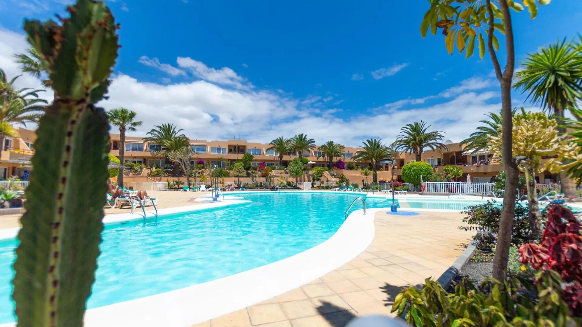Aloe Apartment Corralejo Spain